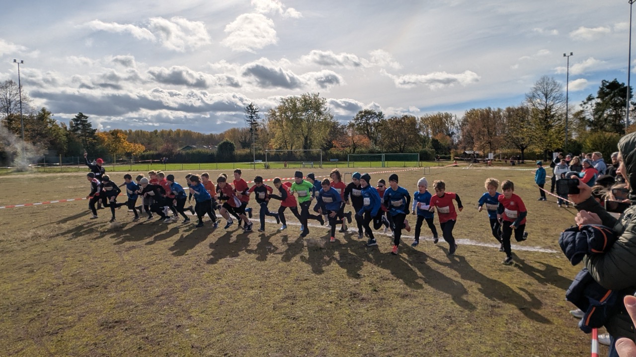 /img/gallery/2025/crosslauf/Groß (PXL_20251026_103935629.RAW-01.COVER).jpeg